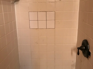 Shower Remodel 50's Cabin - Replacing Dry Rotted Wood & Installing Stone from Floor to Ceiling in Molena, GA