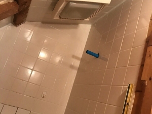 Shower Remodel 50's Cabin - Replacing Dry Rotted Wood & Installing Stone from Floor to Ceiling in Molena, GA