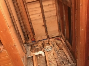 Shower Remodel 50's Cabin - Replacing Dry Rotted Wood & Installing Stone from Floor to Ceiling in Molena, GA
